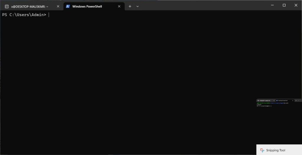 PowerShell 界面示例