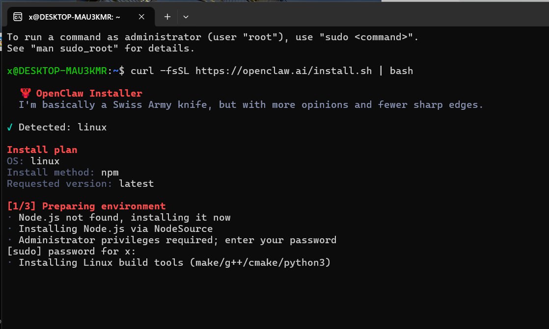 OpenClaw 安装界面